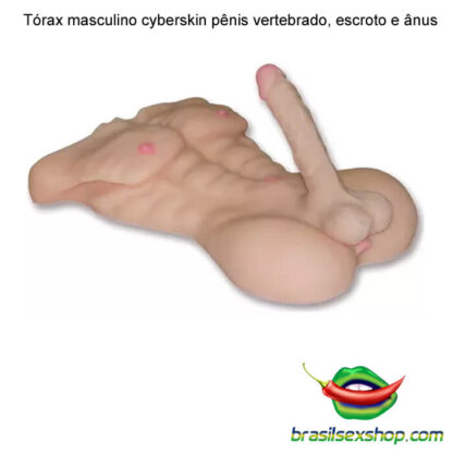 Tórax masculino cyberskin pênis vertebrado, escroto e ânus